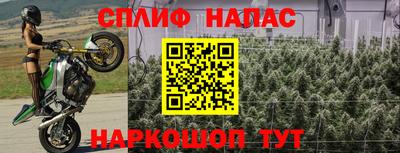 гидропоника Канаш