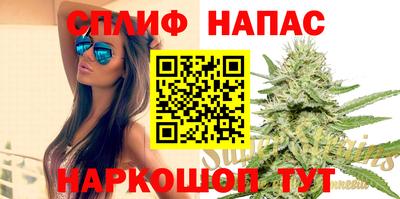 дживик Камышлов