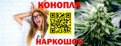 гидропоника Канаш