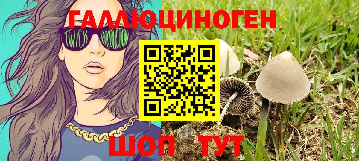 Псилоцибиновые грибы прущие грибы Кунгур