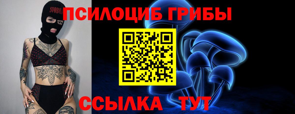 Кунгур  Псилоцибиновые грибы Psilocybe  Вход с VPN  Псилоцибиновые грибы MAGIC MUSHROOMS 